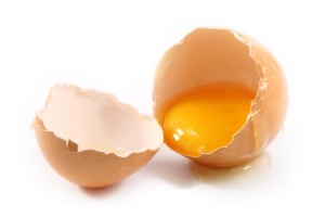 shutterstock_120690565