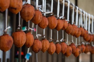 shutterstock_367043228